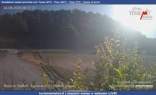 anteprima webcam
