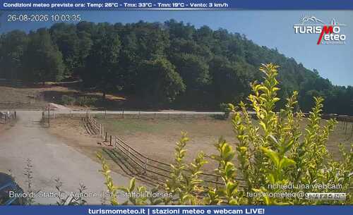 anteprima webcam