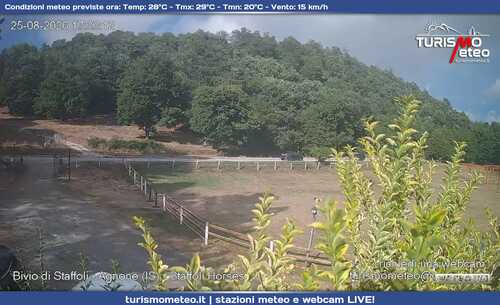 anteprima webcam