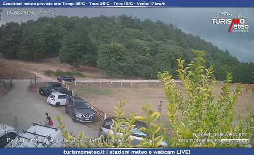 anteprima webcam