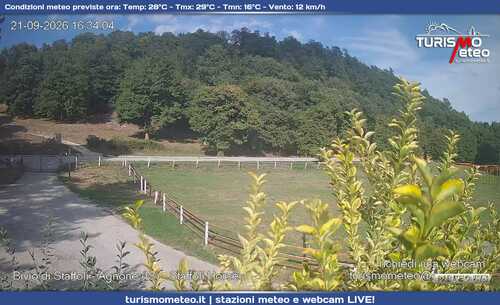 anteprima webcam