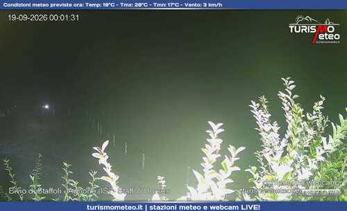 anteprima webcam