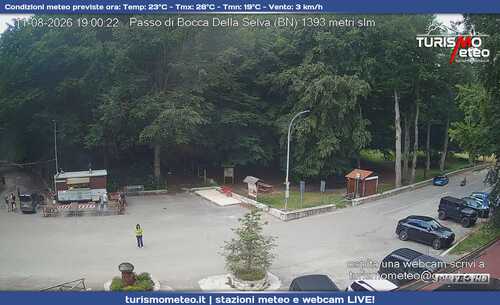 anteprima webcam