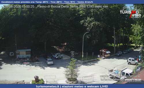 anteprima webcam