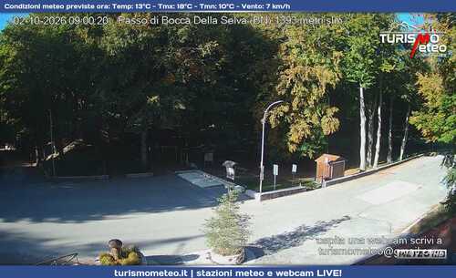 anteprima webcam
