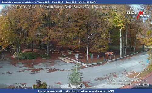 anteprima webcam