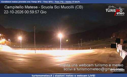 anteprima webcam