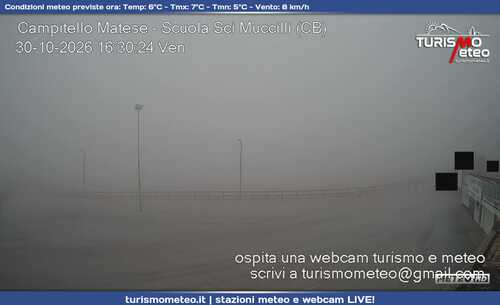 anteprima webcam