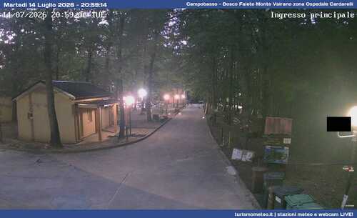 anteprima webcam