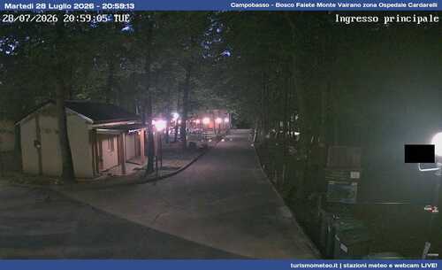 anteprima webcam