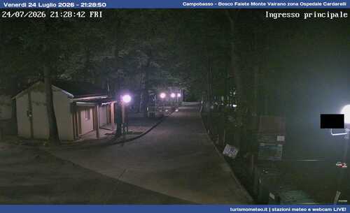 anteprima webcam