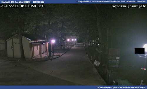 anteprima webcam