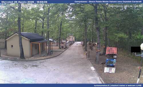 anteprima webcam