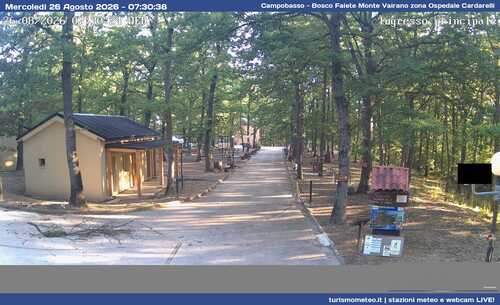 anteprima webcam