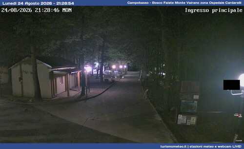 anteprima webcam