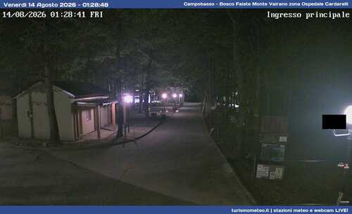 anteprima webcam