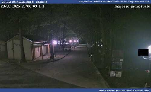 anteprima webcam