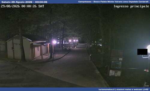 anteprima webcam