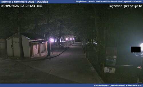 anteprima webcam