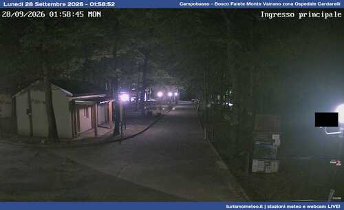 anteprima webcam