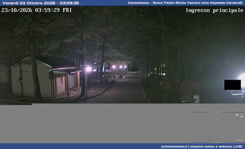 anteprima webcam