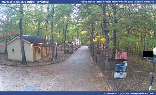 anteprima webcam