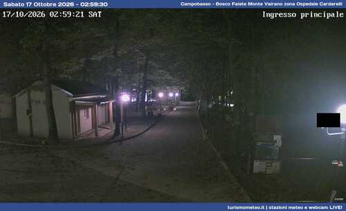 anteprima webcam