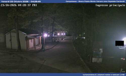 anteprima webcam
