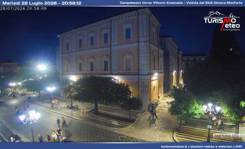 anteprima webcam