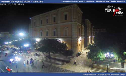 anteprima webcam