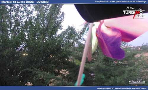 anteprima webcam