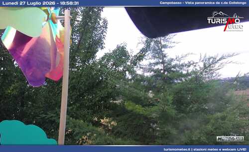 anteprima webcam
