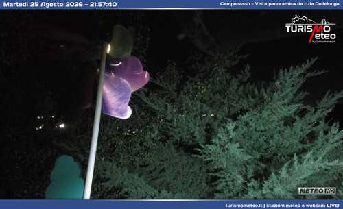 anteprima webcam