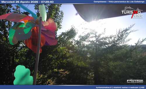 anteprima webcam
