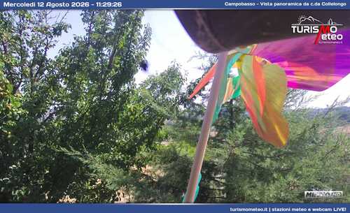 anteprima webcam