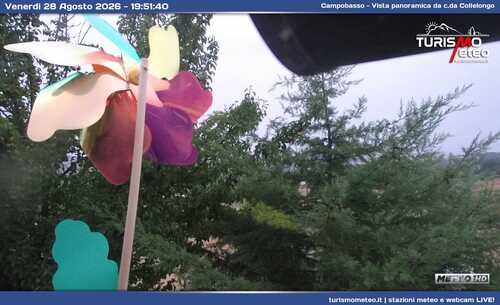anteprima webcam
