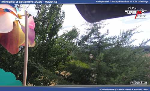 anteprima webcam