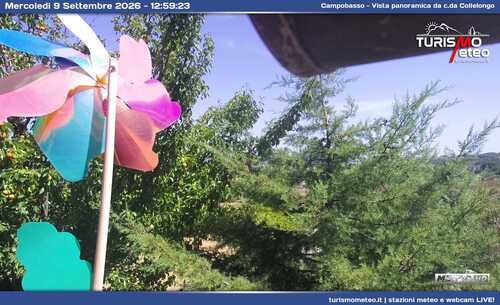 anteprima webcam