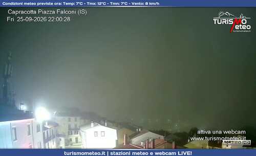 anteprima webcam