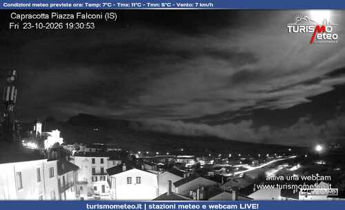 anteprima webcam