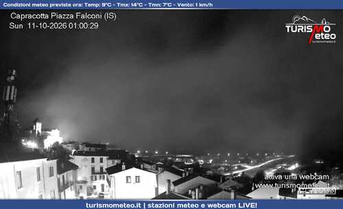 anteprima webcam