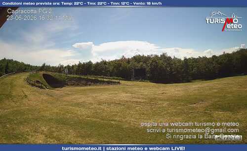 anteprima webcam