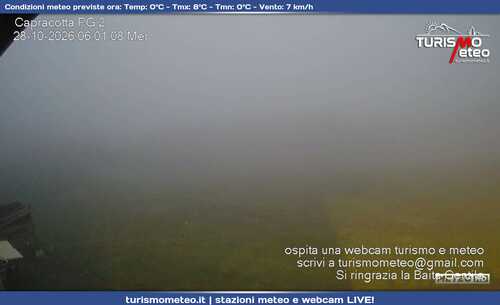 anteprima webcam