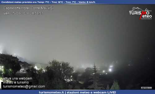 anteprima webcam
