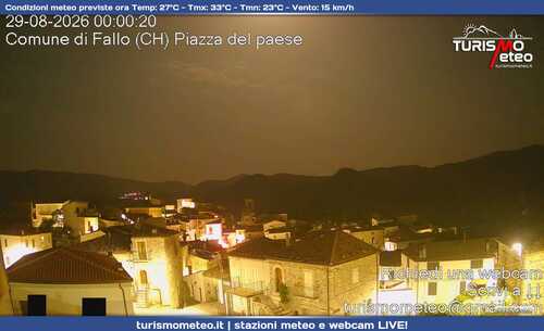 anteprima webcam