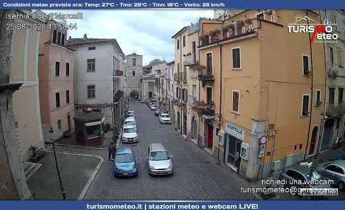 anteprima webcam