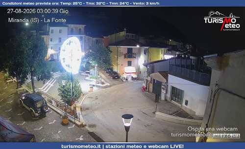 anteprima webcam