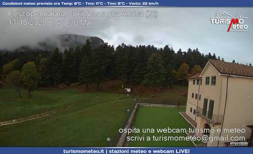 anteprima webcam
