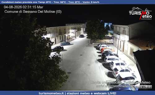 anteprima webcam
