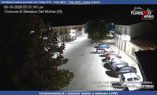 anteprima webcam